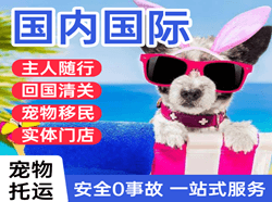 济宁大安空运国际宠物托运 【国